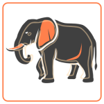 zoo